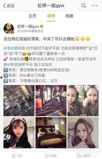 明星家暴爆料热搜视频播放,网络暴力下的家庭悲剧